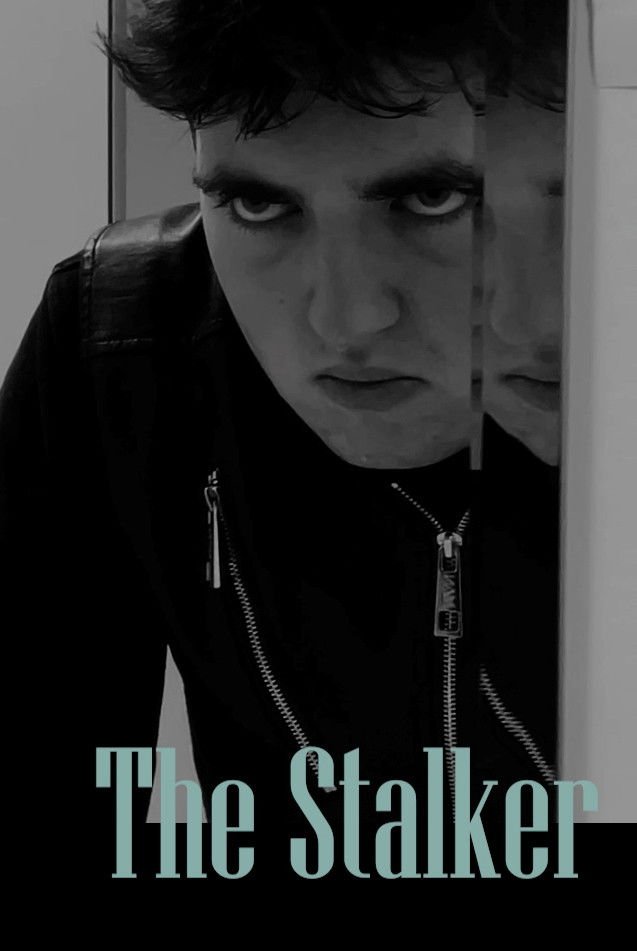 The Stalker - Me titra shqip
