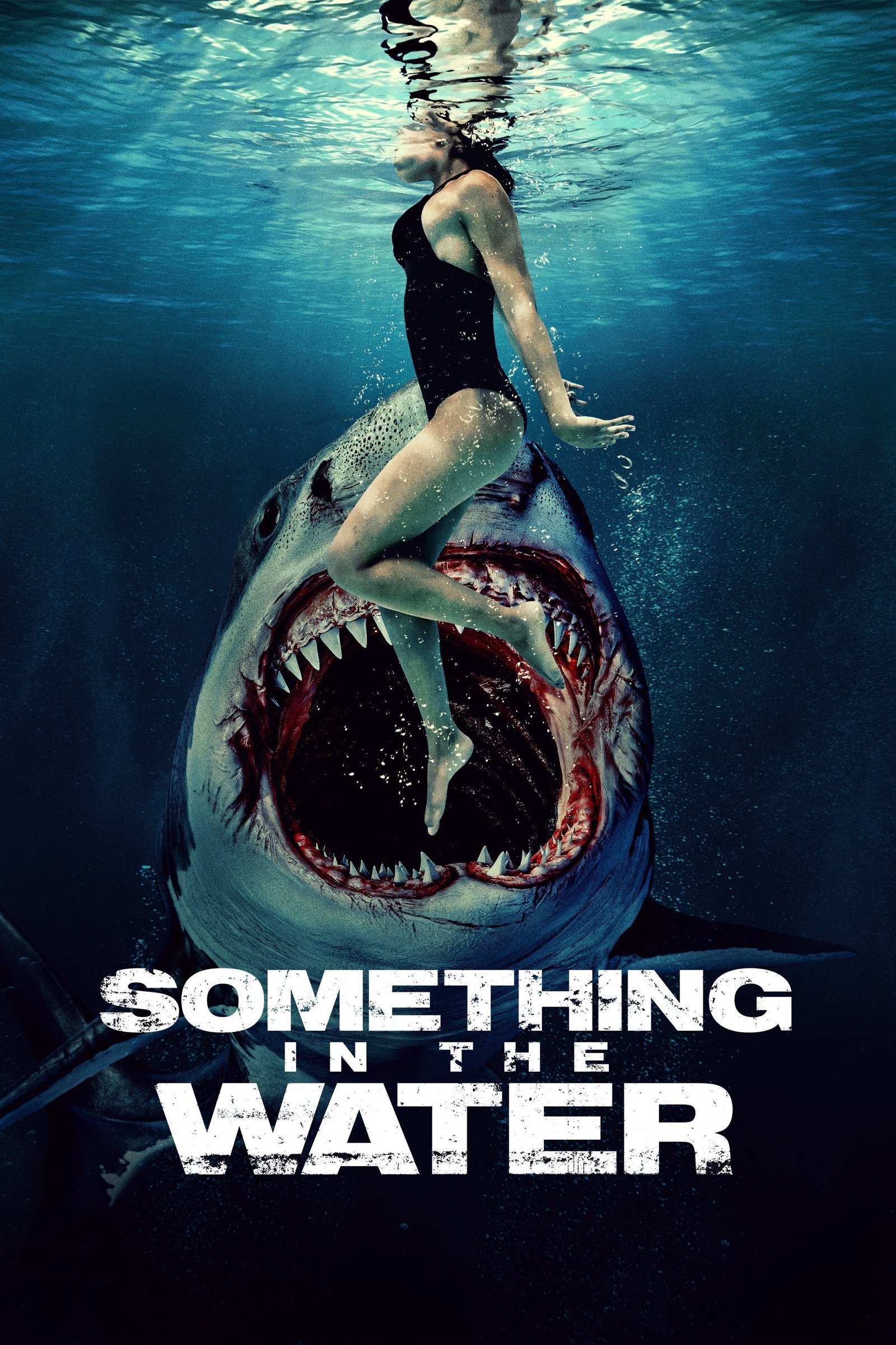 Something in the Water - Me titra shqip